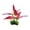 Red, variant on Silk Aquarium Plants for Betta Fish Tank, Small Silk Aquarium Plant Aquatic Water Grass Decoration Red