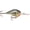 Bluegill, variant on Rapala Dives-To Crankbait 10 Red Crawdad