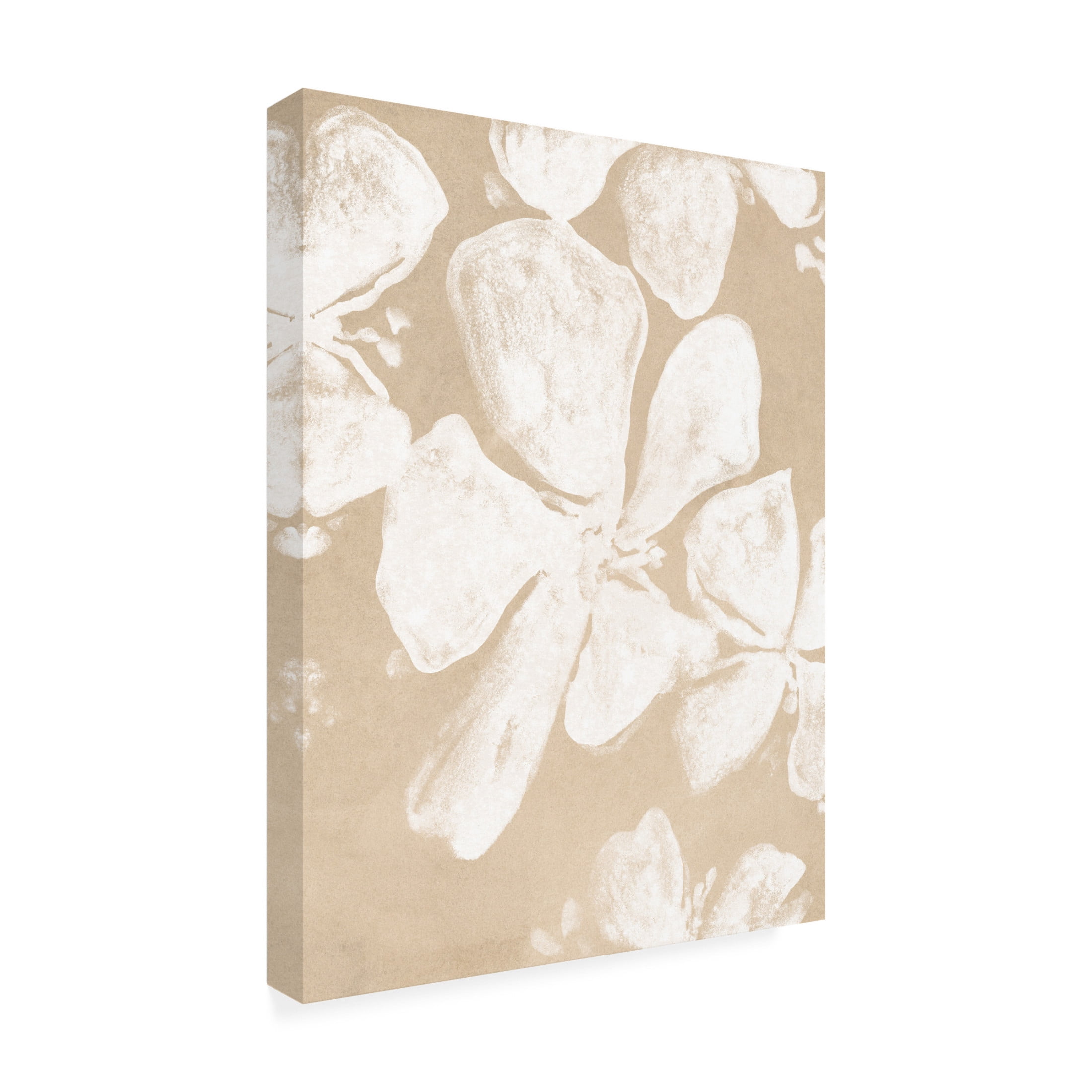 Trademark Fine Art June Erica Vess  Ghost Petal III Canvas Wall Art