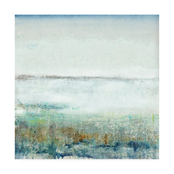 Trademark Fine Art 'Turquoise Mist I' Canvas Art by Tim OToole
