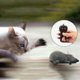 thumbnail image 3 of Juguete de ratón de peluche simulado, juguete interactivo para gatos, juguete para mascotas, divertido, inalámbrico, broma de persecución, broma de miedo, ratón, 3 of 5