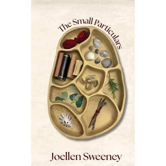 The Small Particulars, (Paperback)