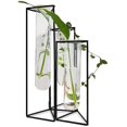 thumbnail image 4 of Juego de 3 jarrones de prueba con soporte de hierro para maceteros de vidrio hidropónico para colgar en la pared con soporte/soporte para decoración de propagación de plantas hidropónicas, 4 of 8