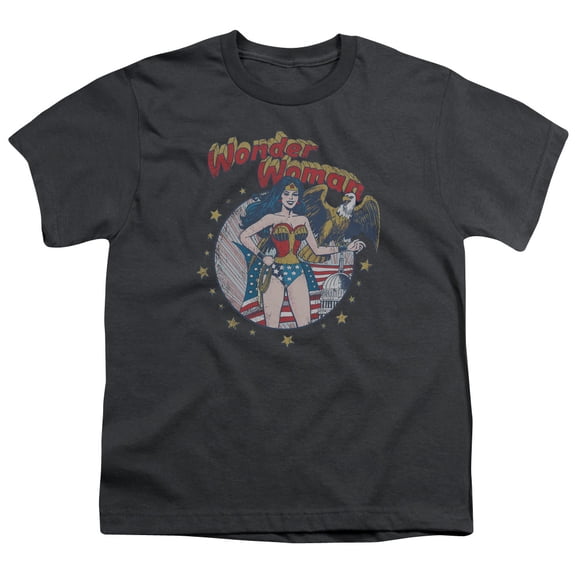 Justice League Of America Men's  At Your Service T-shirt Grey