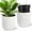 White, variant on 23 Inch Tall Planters Set of 2, Outdoor Self Watering Pots with Water Level Monitor, Marble Finish Large Planters for Indoor Plants, Living Room, Home, Office, Patio, Porch, Garden, Gold