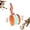 Orange, variant on Interactive Dog Toys, Automatic Dog Walker Interactive Indestructible Waggle Ball Toy, Upgrade Interactive Ball with Motion Activation Chirping Sounds Rolling Dog Toys (Orange X2)