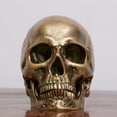 thumbnail image 4 of Crâne en Résine en Bronze Humain Modèle Médical Halloween Réaliste 1 1 Statue Déco, 4 of 6