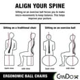 thumbnail image 6 of Cando Metal Ball Chair Inflatable Ergonomic Active Seating Exercise Ball Chair with Air Pump for Home, Office, and Classroom, 6 of 7