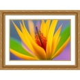 thumbnail image 2 of Stephen Chambers 24x17 Gold Ornate Wood Framed With Double Matting Wall Art Titled - Flower31, 2 of 6