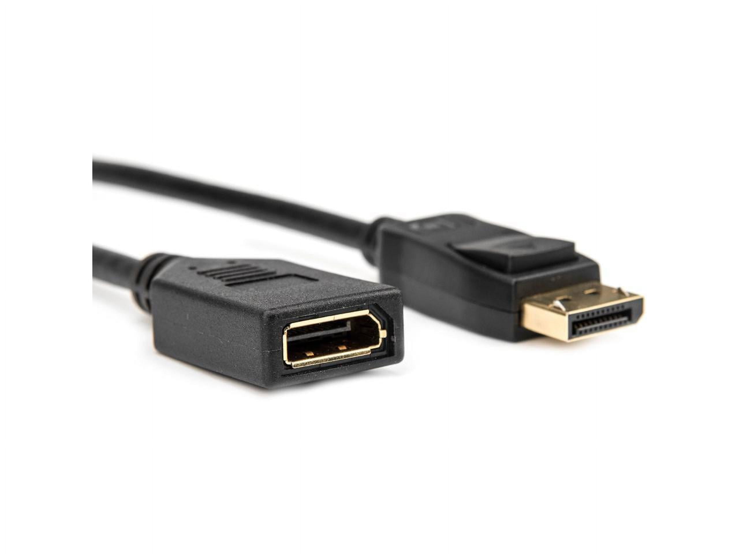 Rocstor 6ft DisplayPort Video Extension Cable