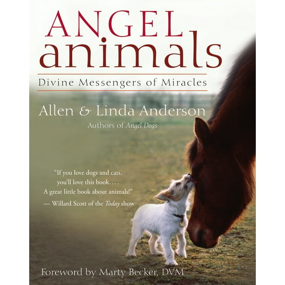 Angel Animals: Divine Messengers of Miracles (Paperback)