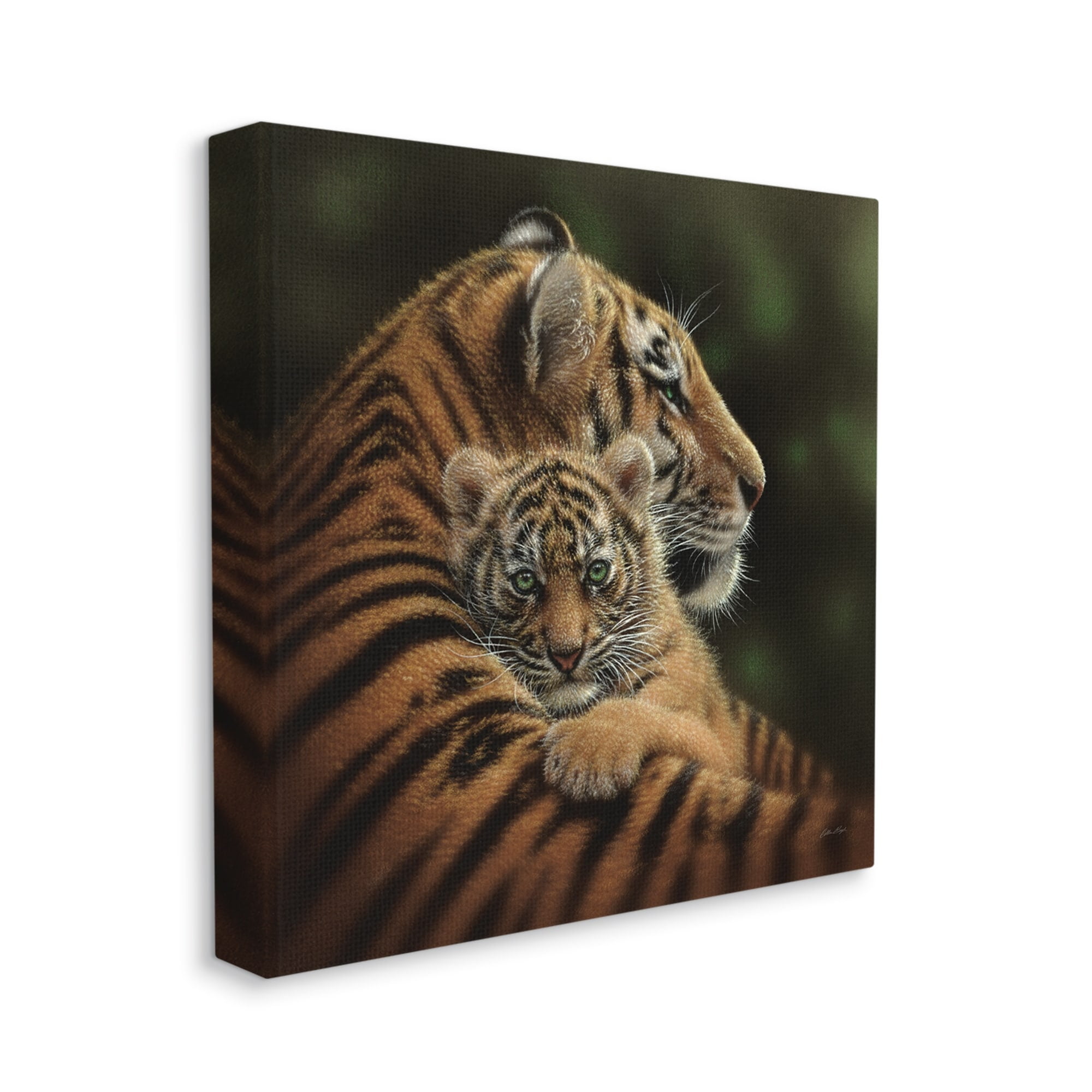 Stupell Industries Adorable Sweet Mom Tiger Holding Baby Cub Detailed Portrait , 24 x 24, Design by Collin Bogle