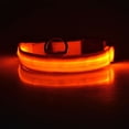 thumbnail image 2 of LED Pet Dog Collar Flashing Glow Dog Leash Neck Belt Collars Pet Fluorescent Cat Neck Belt Rope Cord, 2 of 4