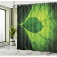 thumbnail image 5 of Ambesonne Green Shower Curtain, Brazilian Tree Leaf Eco, 69"Wx84"L, Olive and Dark Green, 5 of 5