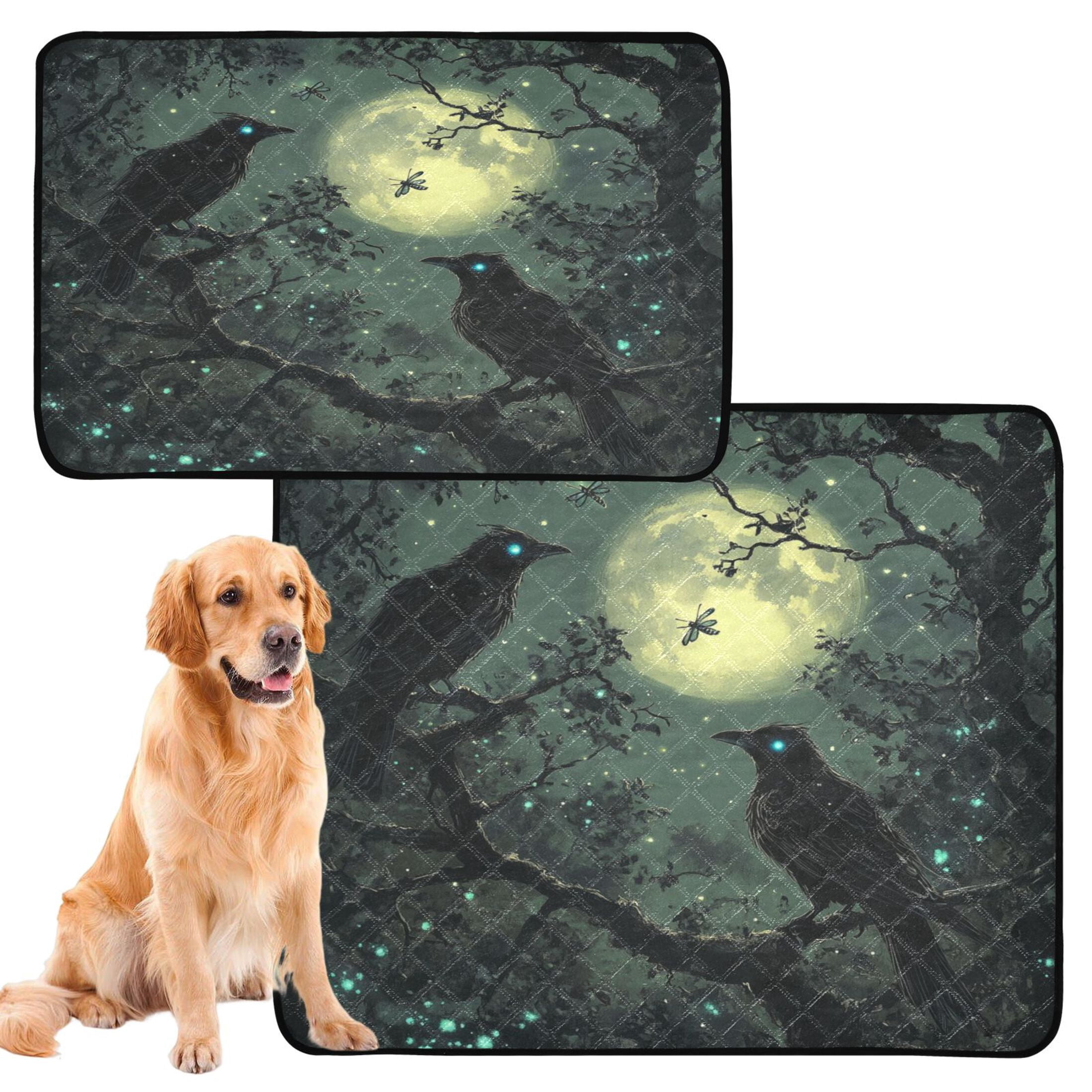 Qxltty Midnight Dark Crow Cat litter Pads Pet Set of 3 Diaper Mats Center Anti-leakage Layer Absorbent Soft and Comfortable