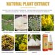 thumbnail image 4 of EELHOE Foot Spray Pure Natural Shoe Deodorizer S-pray Odor Eliminator Shoe Freshener 30ML/Bot, 4 of 5
