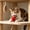 Red, variant on Dog Cat Toy Under 1 dollar Durable Interactive Dog Toys Cat Toys, Indestructible Dog Toy for Aggressive Chewers Stress Relief Cat Toys for Indoor Outdoor Small Medium Large Dogs Cats
