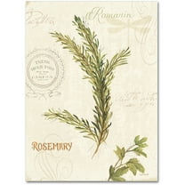 Trademark Fine Art "Aromantique II" Canvas Art by Lisa Audit