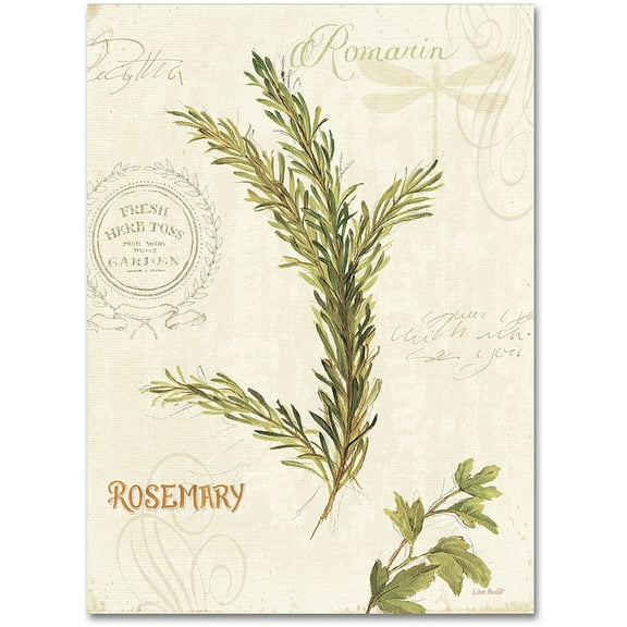 Trademark Fine Art "Aromantique II" Canvas Art by Lisa Audit