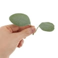 thumbnail image 5 of FRCOLOR  40 Pcs Wedding Bouquet Greenery Fake Eucalyptus Leaves for Crafts, 5 of 8