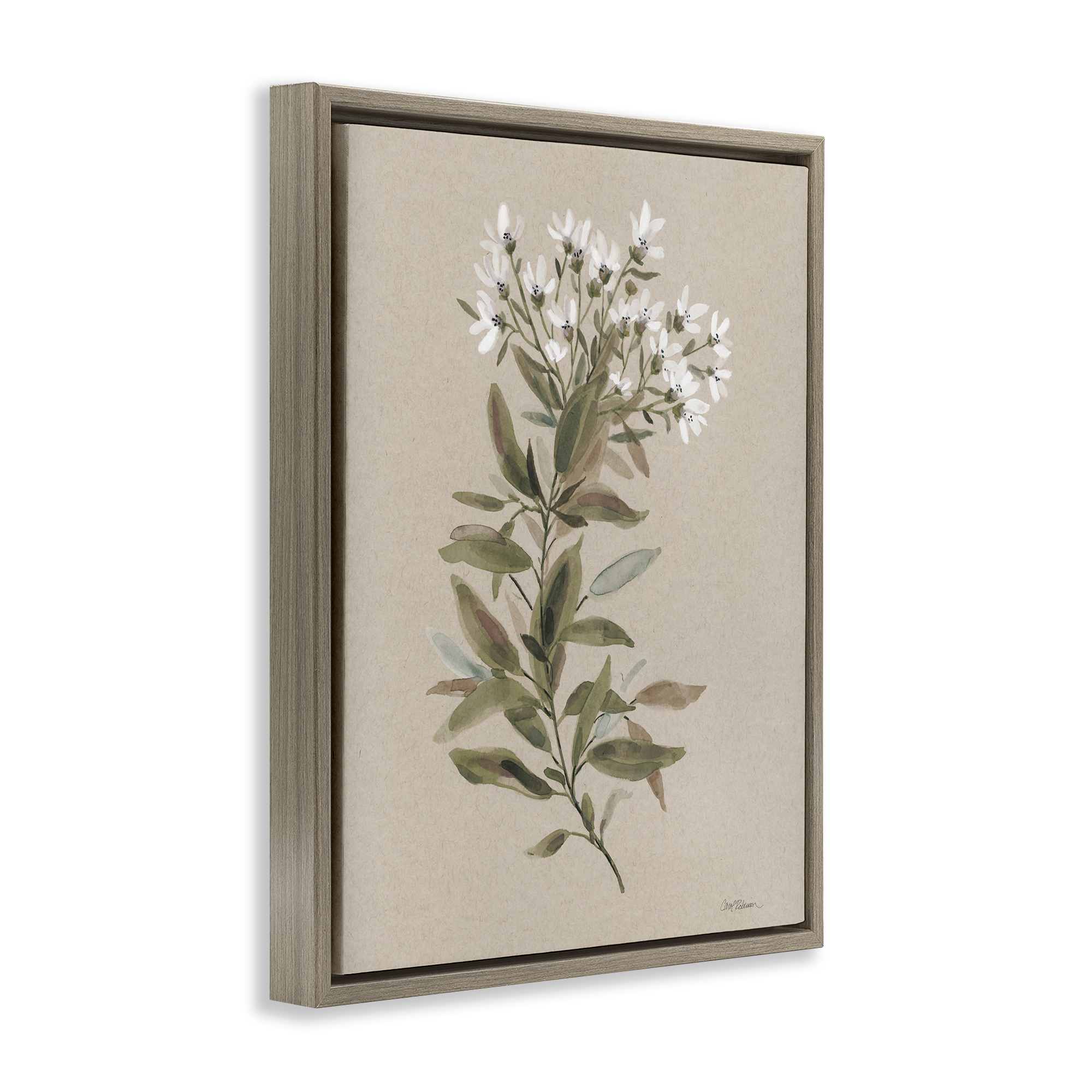 Stupell Industries Watercolor Wildflower Sprig Botanical & Floral Painting Brown Floater Framed Art Print Wall Art, 17 x 21