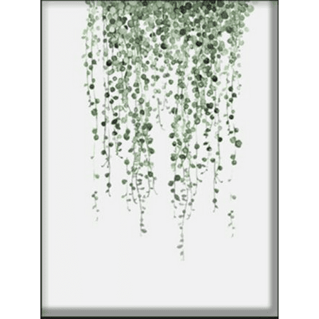 Plant Wall Decor Png Plant Wall Decor Png