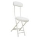 thumbnail image 1 of Silla plegable de campamento plegable acolchado para jardinería de picnic patio trasero, 1 of 8
