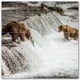 thumbnail image 1 of Picture-Tiles.com: Bear Ceramic Tile Wall Mural WAL500118-55M. 30"W x 30"H using (25) 6" x 6" Ceramic Tiles-Satin Finish, 1 of 3