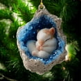 thumbnail image 4 of Acrylic Christmas Ornament under $5! CQCYD Owl Raccoon Christmas Ornament, 2D Flat Acrylic Tree Pendant, Cute Animal Decor for Xmas Tree Stocking Garland Gift for Kids Animal Lovers, 4 of 6