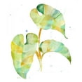 thumbnail image 3 of Escobedo, Mary 20x22 Black Modern Framed Museum Art Print Titled - Watercolour Tropical 3, 3 of 5