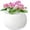 8-White, variant on EFISPSS 6" Self-Watering Ceramic African Violet Pots – Blue Gradient | Minimalist Home Decor