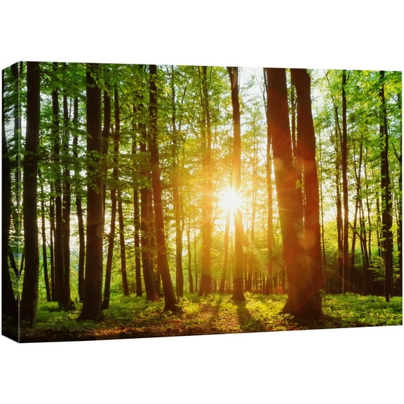 wall26 Canvas Print Wall Art Sunrise Over The Green Forest Nature Wilderness Photography Modern Art Rustic Scenic Colorful Multicolor for Living Room, Bedroom, Office - 24"x36"