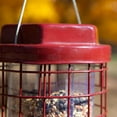 thumbnail image 5 of Perky-Pet 4 lb Squirrel Resistant Easy Feeder, 5 of 14