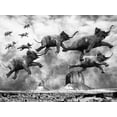 thumbnail image 2 of Anonymous 18x15 White Modern Wood Framed Museum Art Print Titled - Flying Elephants, 2 of 4