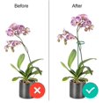 thumbnail image 3 of 10 piezas de estacas para plantas de interior, tallo de jardín, soporte de flores, soporte de plantas de bucle único, estacas de Amaryllis, soporte, soporte para flores, 3 of 5
