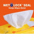 thumbnail image 3 of Toallitas húmedas para perros Wet Ones Paw & Tushie con manzanilla, 30 unidades, paquete de 24, 3 of 4