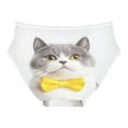 thumbnail image 2 of Women's Underwear Shorthair Cat Hipster Panties Underwear for women, Small, 2 of 9