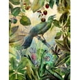 thumbnail image 2 of Haase, Andrea 12x14 Gold Ornate Wood Framed with Double Matting Museum Art Print Titled - The Birds Green Garden I, 2 of 4