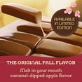 thumbnail image 4 of Werther's Original Harvest Caramel Apple Soft Caramel Candy, 8.57 oz., 4 of 9