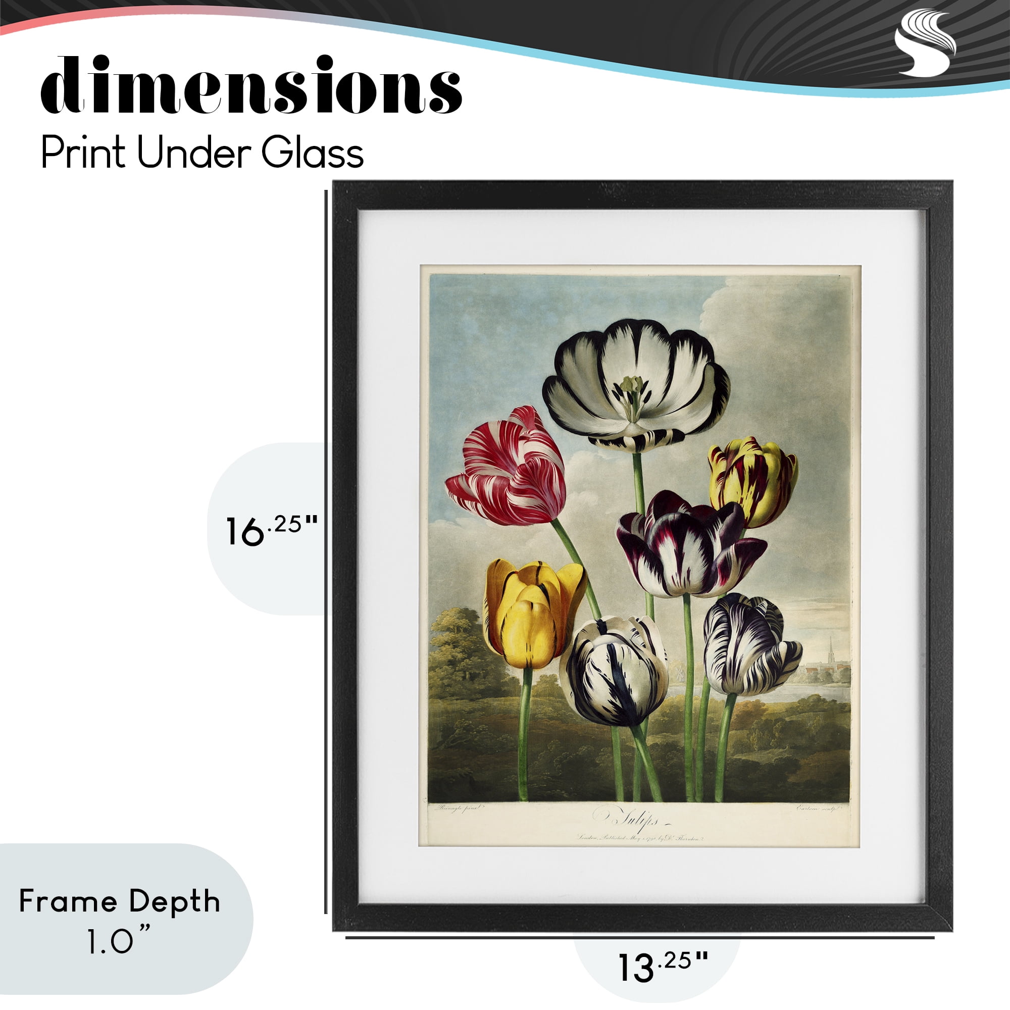 Stupell Industries Tulips From The Temple Black Framed Print Under Glass, design by Print Collection