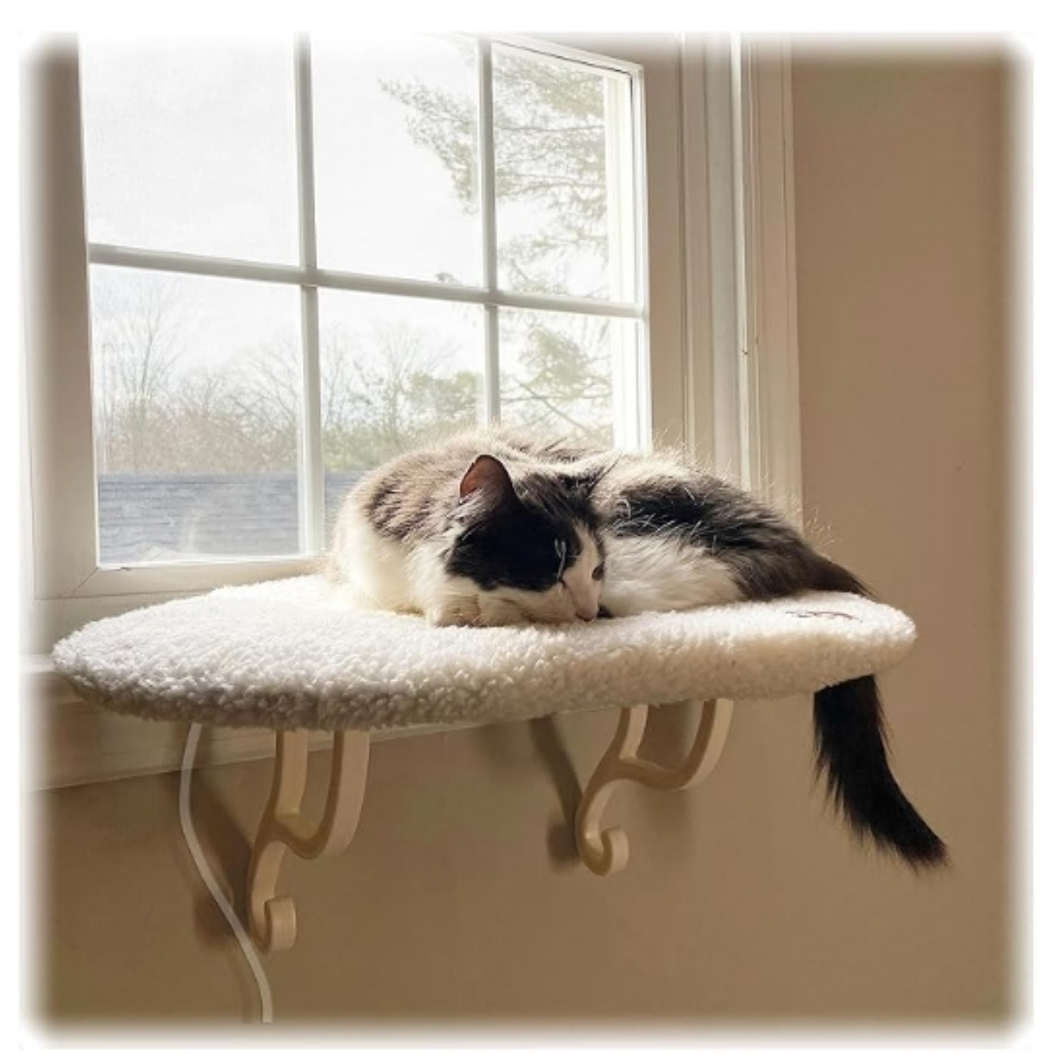 Kitty Sill Heated Cat Window Perch for Large Cats, Orthopedic Window Hammock Bed Holds 40LBS, Washable Cover, Kitty Windowsill Bed Seat for Indoors - Cream , Heated, 14 X 24in