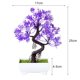 thumbnail image 1 of Planta Artificial bonsái de plástico, maceta de árbol pequeño, planta falsa, adornos en maceta para el hogar, habitación, mesa, jardín, decoración de Hotel, 1 of 4