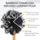thumbnail image 2 of Limpiador de espalda de lufa con infusión de carbón de bambú - Esponja de baño de lufa con mango largo de madera para hombres y mujeres - Incluye esponja de ducha de mango largo, 1 puf de baño Luffa Xemadio JQWJ553, 2 of 6