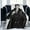 Black, variant on Austin Butler Blanket, 60x80, 3D Printed Plush Blanket, Lightweight & Super Soft, Warm & Comfy, Anti-Pilling Microfiber Flannel Fleece Blanket for Couch, Bed, Sofa