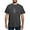 Charcoal, variant on - Phi Sigma Pi Shield Color Wordmark T Shirt - Mens Comfort Colors Shirt