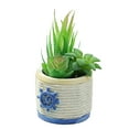thumbnail image 1 of Simulación de bonsais suculentos, adornos creativos, flores artificiales, flores de plástico, suculentas, 1 of 5