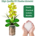 thumbnail image 3 of XZKING 4"/5.6"/6.4" Clear Nursery Pots Thicken Plastic Plant Pots for Orchid with Drainage Holes, Trays. Orchids Planter (5PACK), 3 of 8