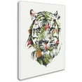thumbnail image 2 of Trademark Fine Art 'Tropical Tiger' Canvas Art by Robert Farkas, 2 of 3