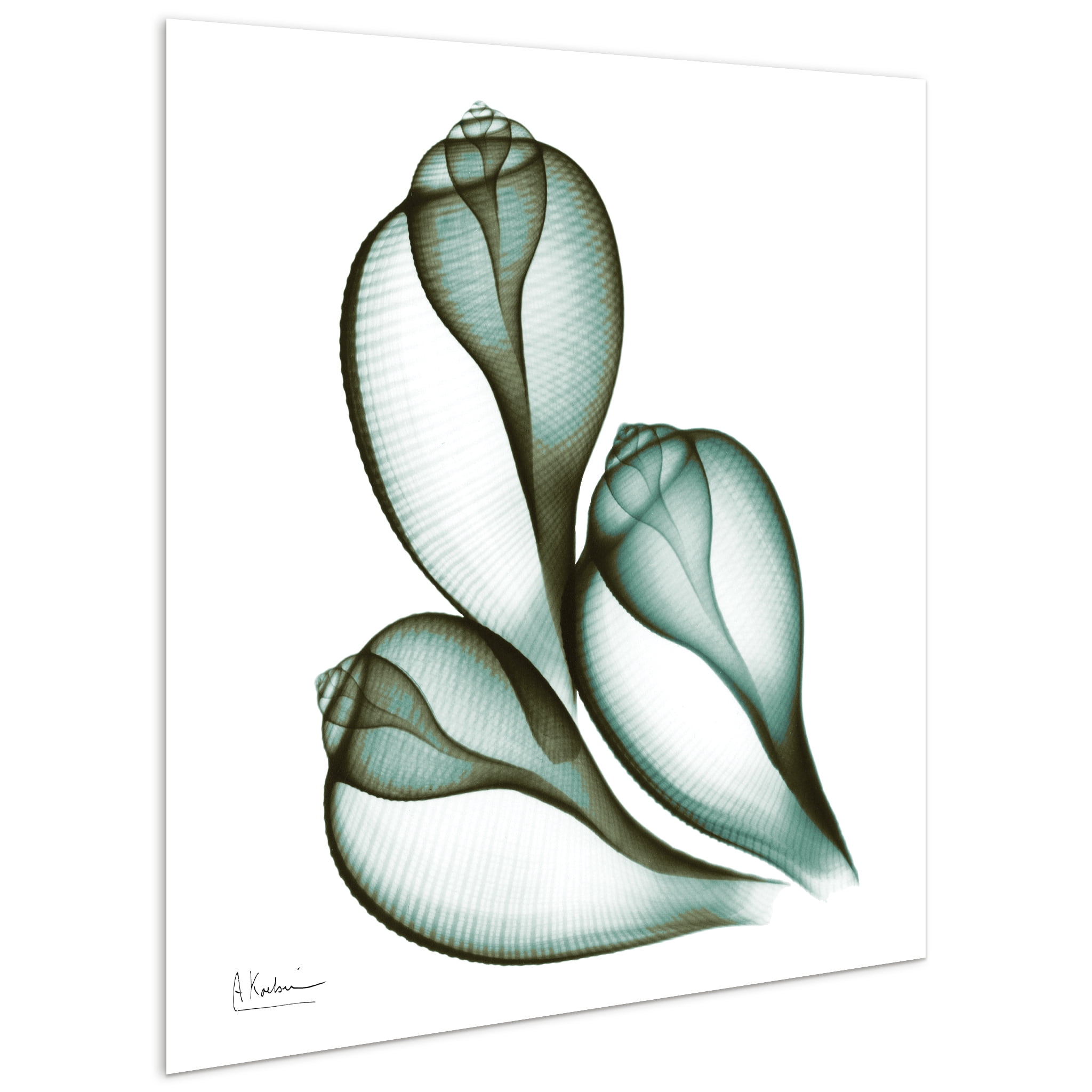 Empire Art Direct Coastal Serenity I & II Frameless Free Floating Tempered Glass Panel Graphic Wall Art, 24" x 24" each, Ready to Hang