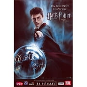 Pop Culture Graphics MOV402420 Harry Potter & The Order of the Phoenix Movie Poster, 11 x 17